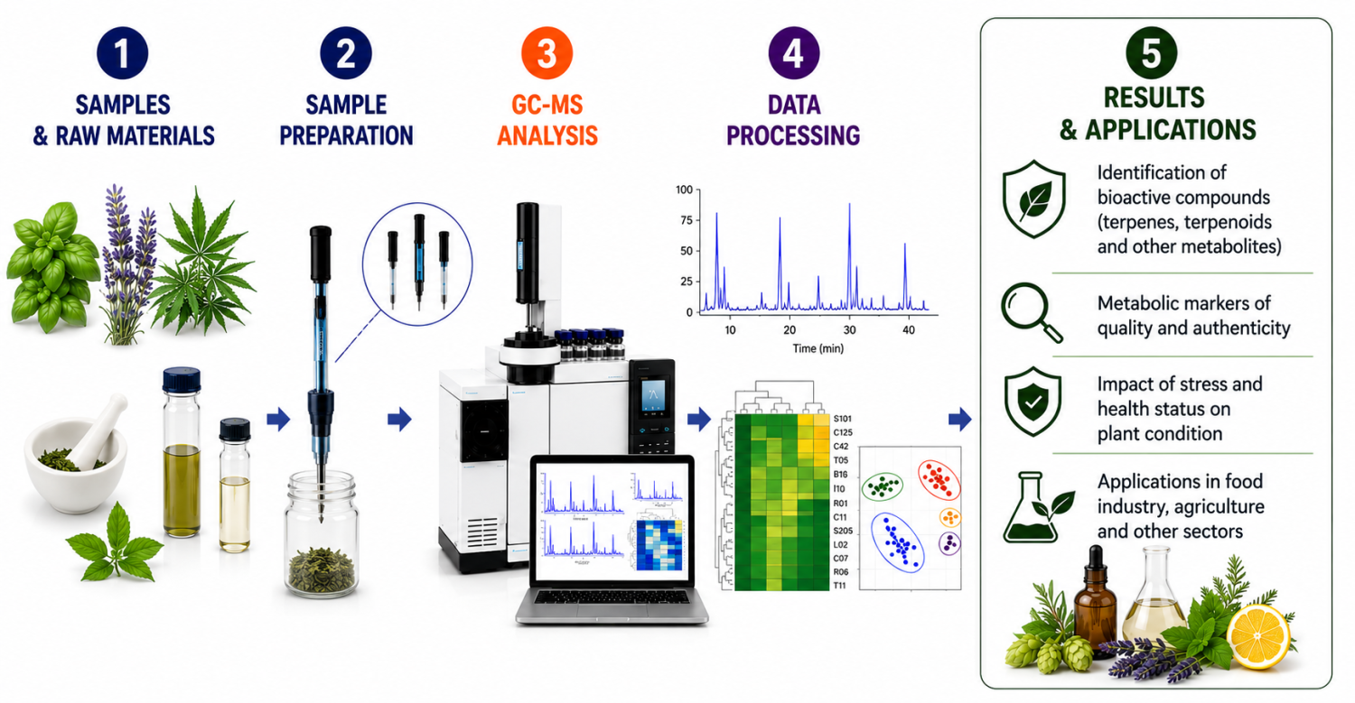 ◳ Metabolické profily a bioaktivní látky rostlin_EN_final (png) → (originál)