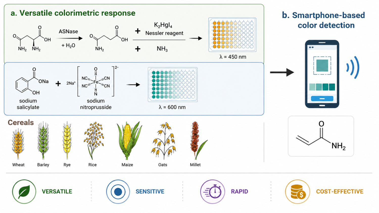  ◳ Asparaginase illustration (png) → (originál)