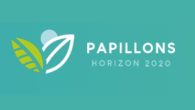 Papillons2