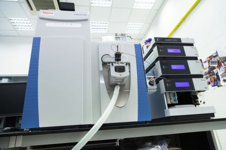 Q Exactive Plus™ (Thermo Fisher Scientific) Hybrid Quadrupole-Orbitrap Mass Spectrometer, UltiMate 3000 RS UHPLC (Dionex)